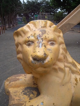 ライオンの顔.jpg
